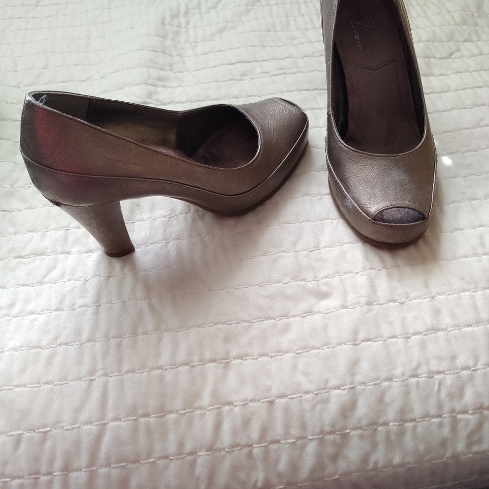 Shies - Picture 2 of 4